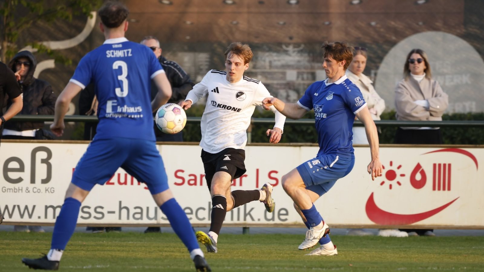 SCSV - biene Höpfne