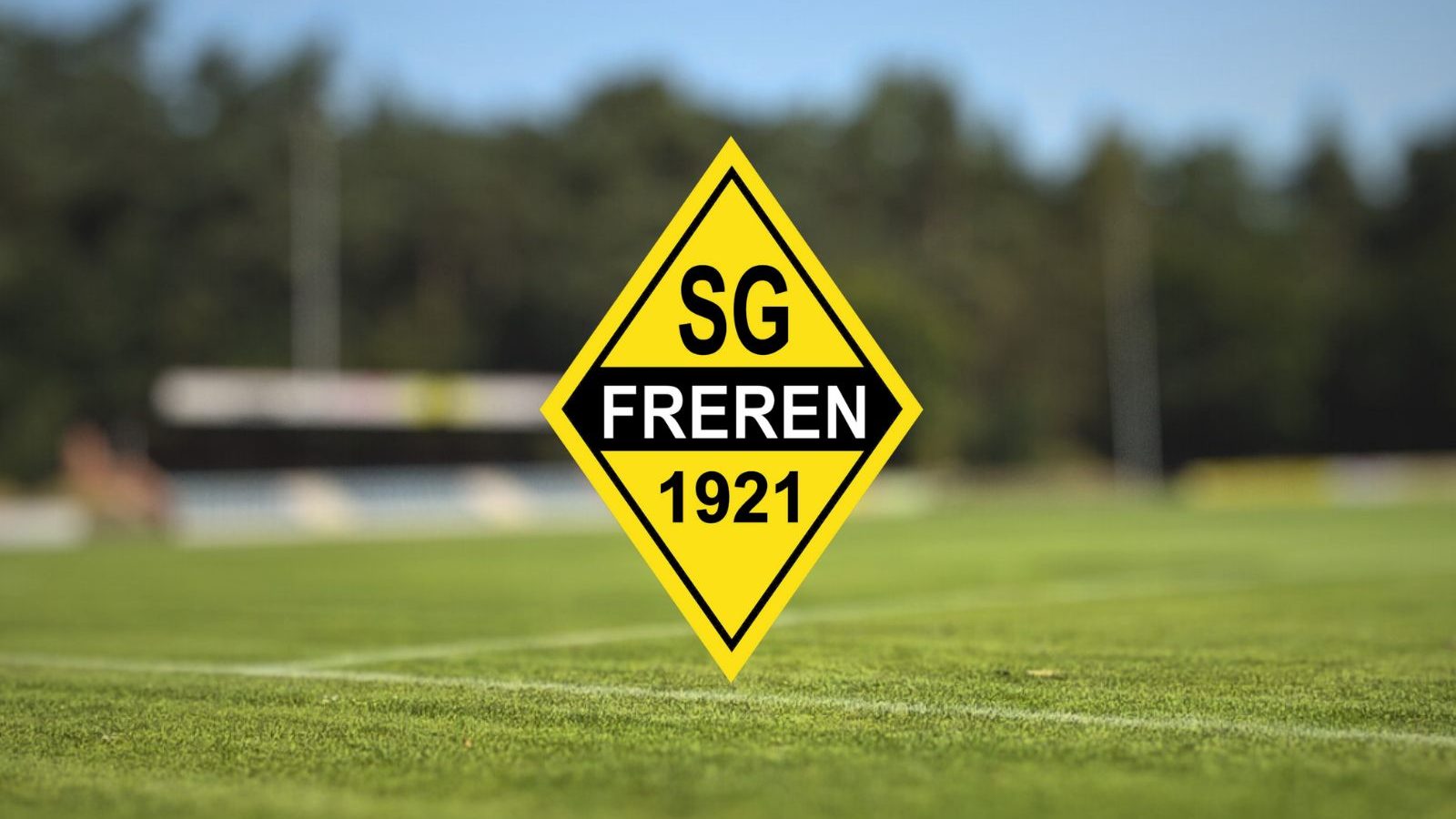 SG Freren Bericht Bild
