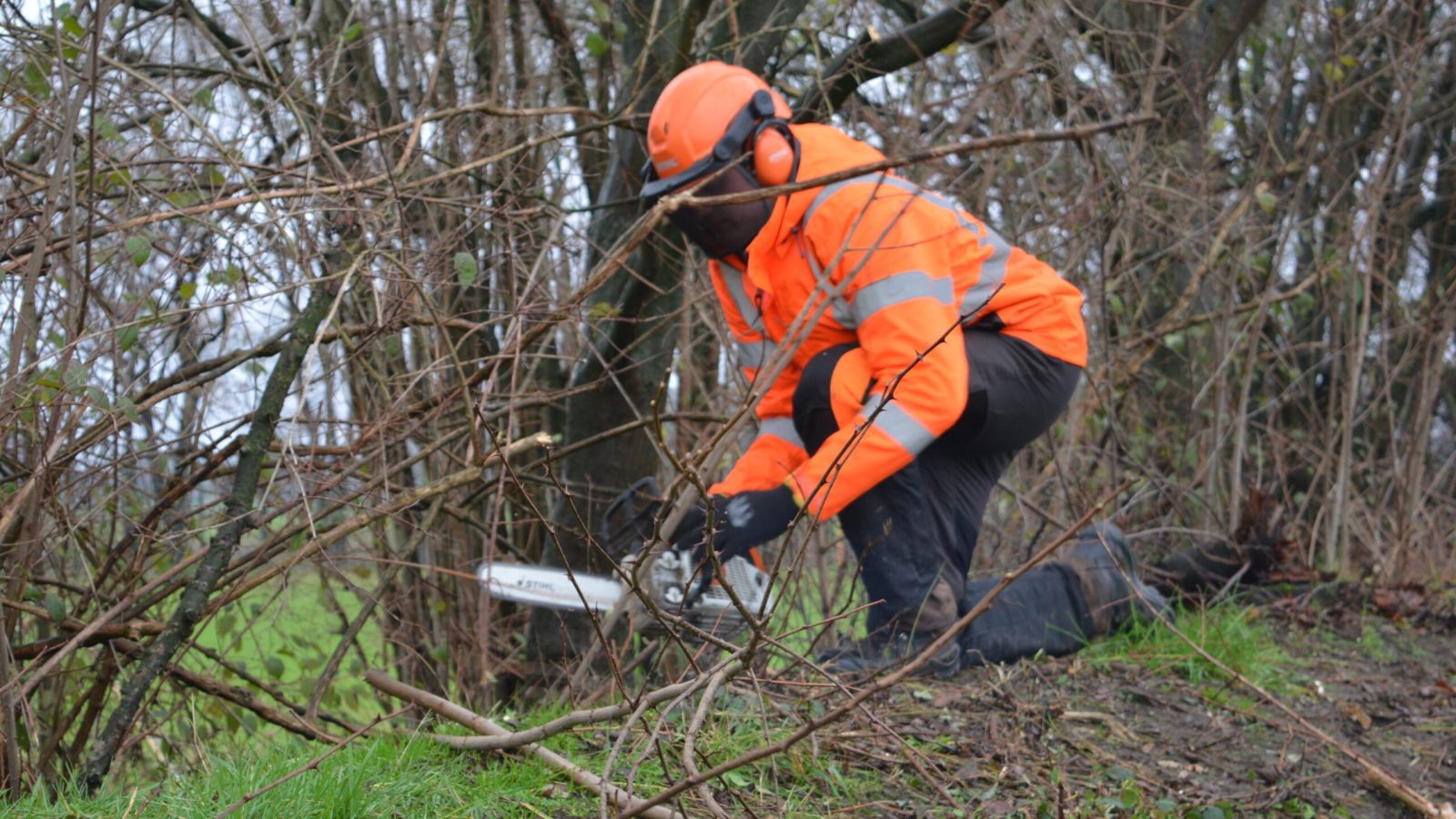 Sägearbeiten Bauhof Gemeinde Geeste Holz