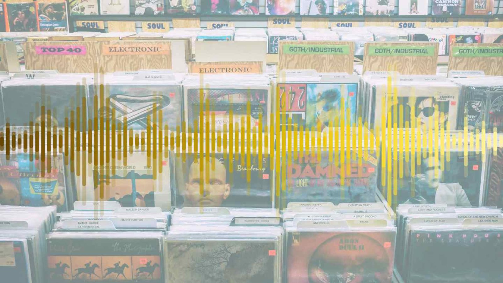 Schallplatten