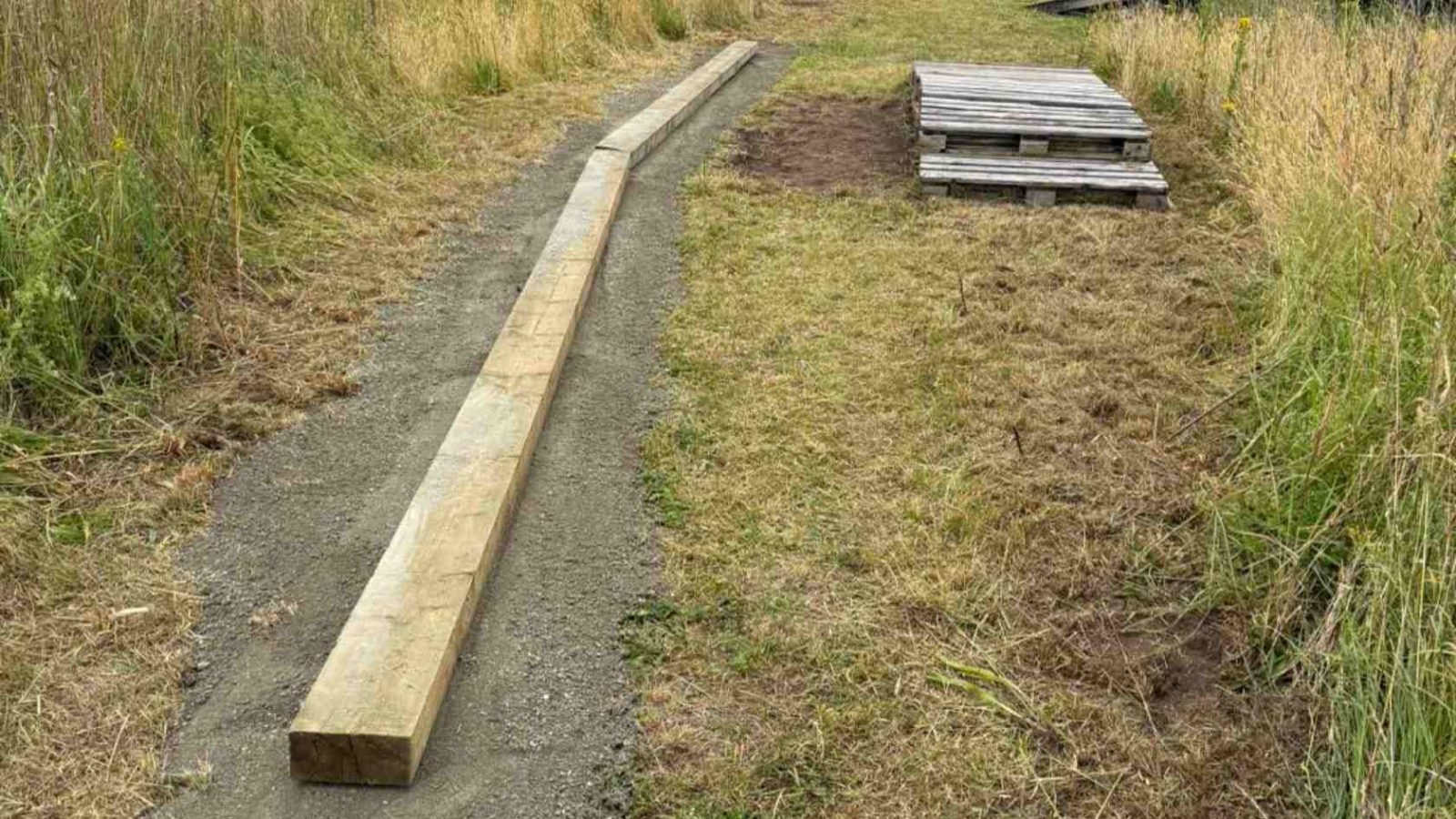 Schüler verschönern den Trail-Park