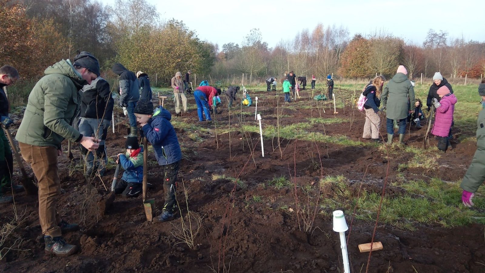 Schulwaldtag & Pflanzaktion in Uelsen