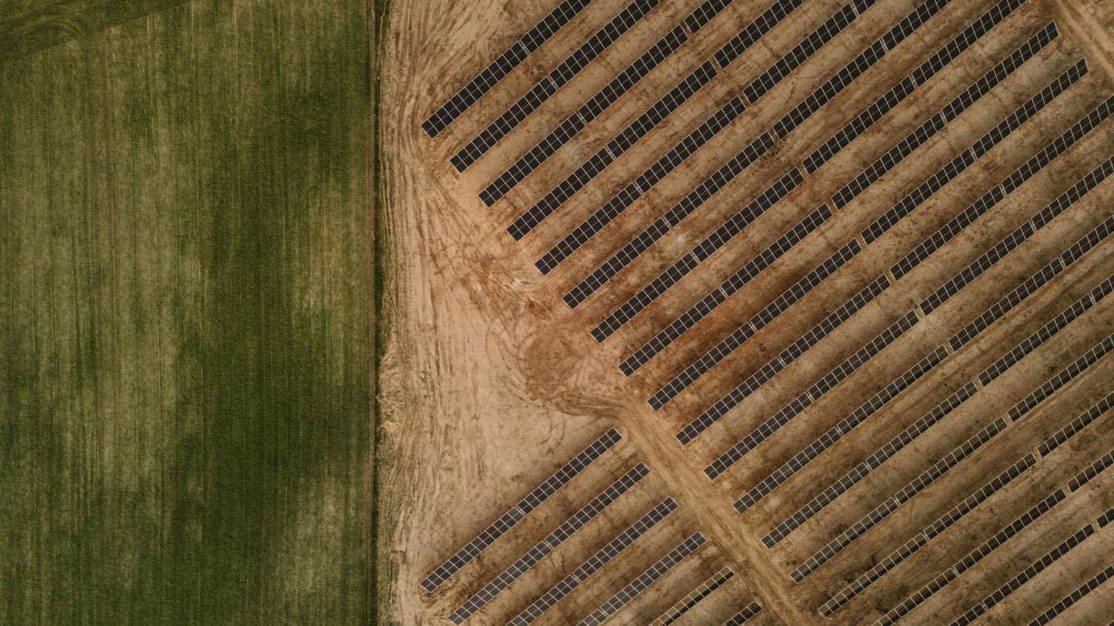 Reihen von Photovoltaik-Modulen auf einer Freifläche im Sonnenlicht