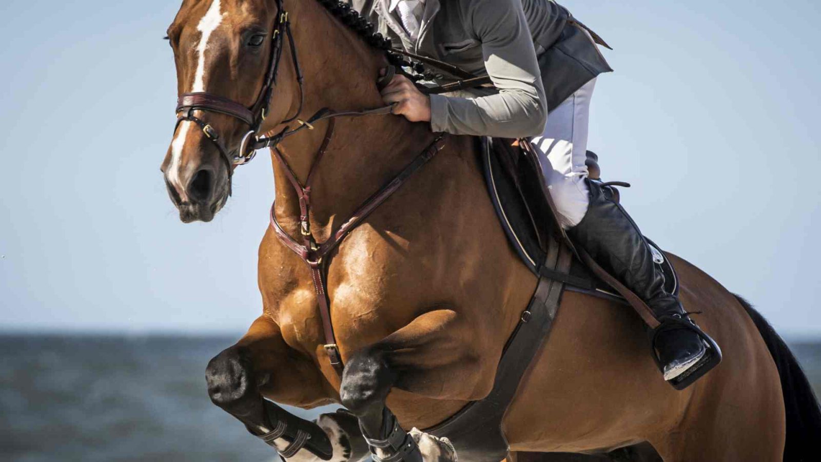 Springreiten