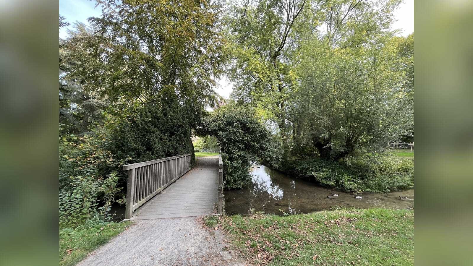 Holzbrücke mit Geländer über den Honigbach im Coesfelder Stadtpark, umgeben von Bäumen und Büschen