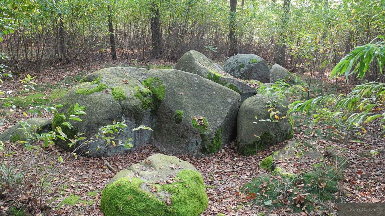 Steinhügelgrab in Mehringen