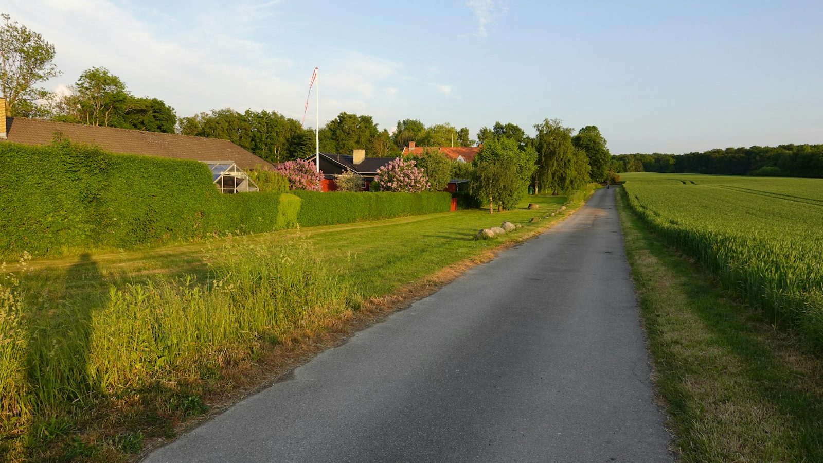 Asphaltierte Straße durch eine ländliche Landschaft mit Feldern