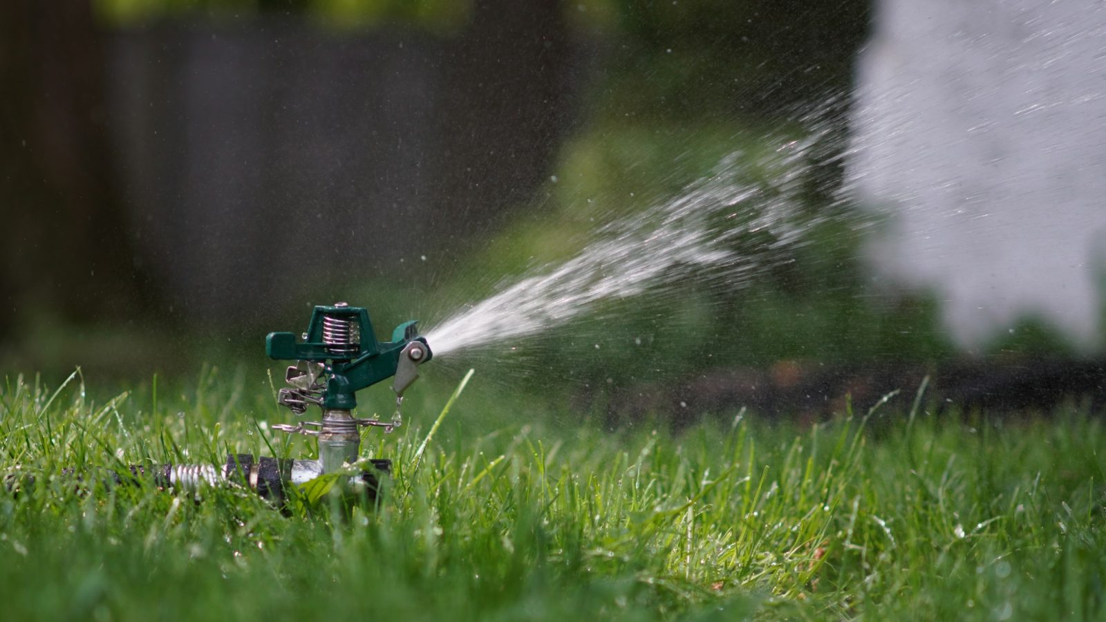 Rasensprenger bewässert eine Rasenfläche im Garten