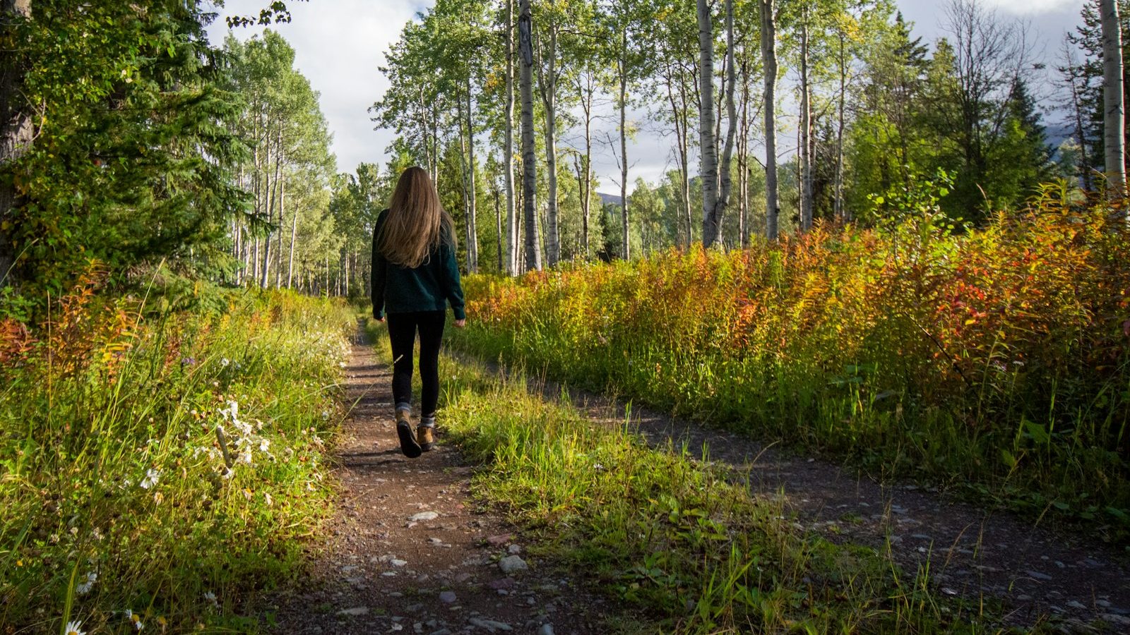 Frau geht auf einem Weg durch eine grüne Parklandschaft (Symbolbild)
