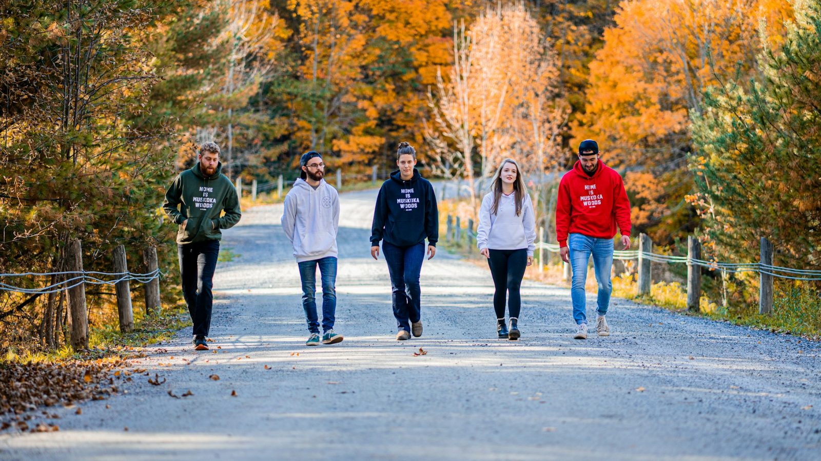 Fünf Menschen gehen einen Schotterweg entlang, gesäumt von Bäumen mit gelbem Herbstlaub