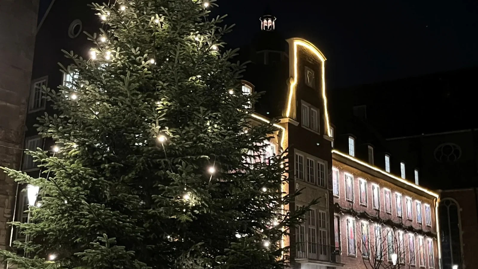 Tanne Weihnachten Rathaus