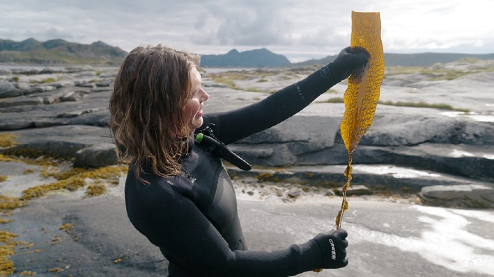 Auf den Lofoten erntet Angelita Erikson verschiedene essbare Algen, die hier wachsen, ganz ohne Pestizide oder Dünger. / Nutzung des Bildes in Verbindung mit der Sendung inkl. Social Media / Weiterer Text über ots und www.presseportal.de/nr/7840 / Die Verwendung dieses Bildes für redaktionelle Zwecke ist unter Beachtung aller mitgeteilten Nutzungsbedingungen zulässig und dann auch honorarfrei. Veröffentlichung ausschließlich mit Bildrechte-Hinweis.