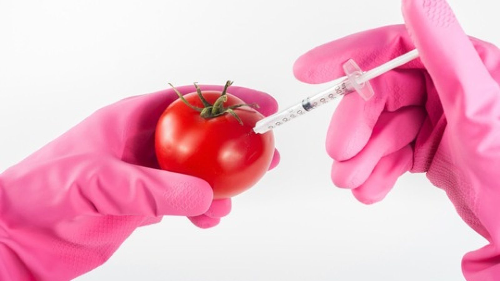 Tomate_modified-1744~ CC_PulicDomain