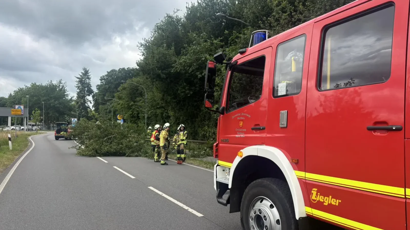 Umgestürzter Baum in Nordhorn-Feuerwehr sorgt für schnelle Räumung