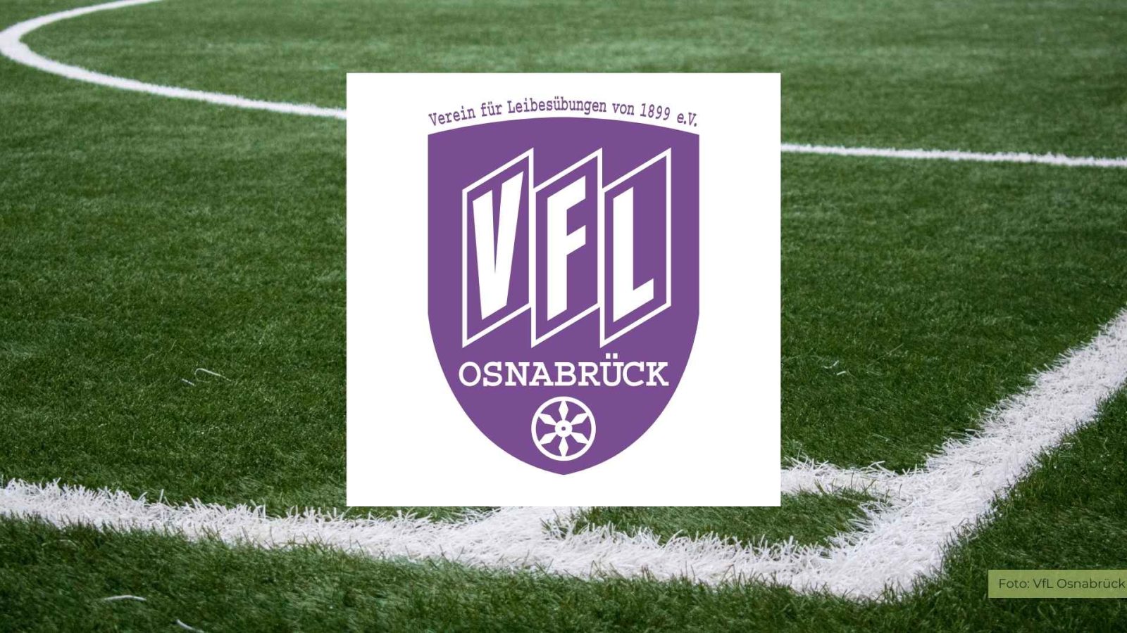 VfL Wolfsburg setzt auf Nachhaltigkeit: Neuer Bericht veröffentlicht