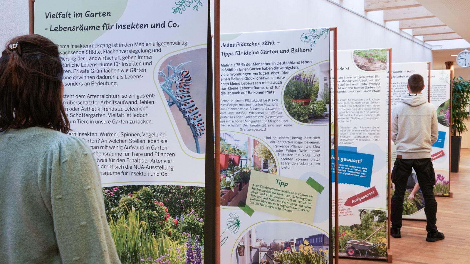 Vielfalt im Garten-2-NUA