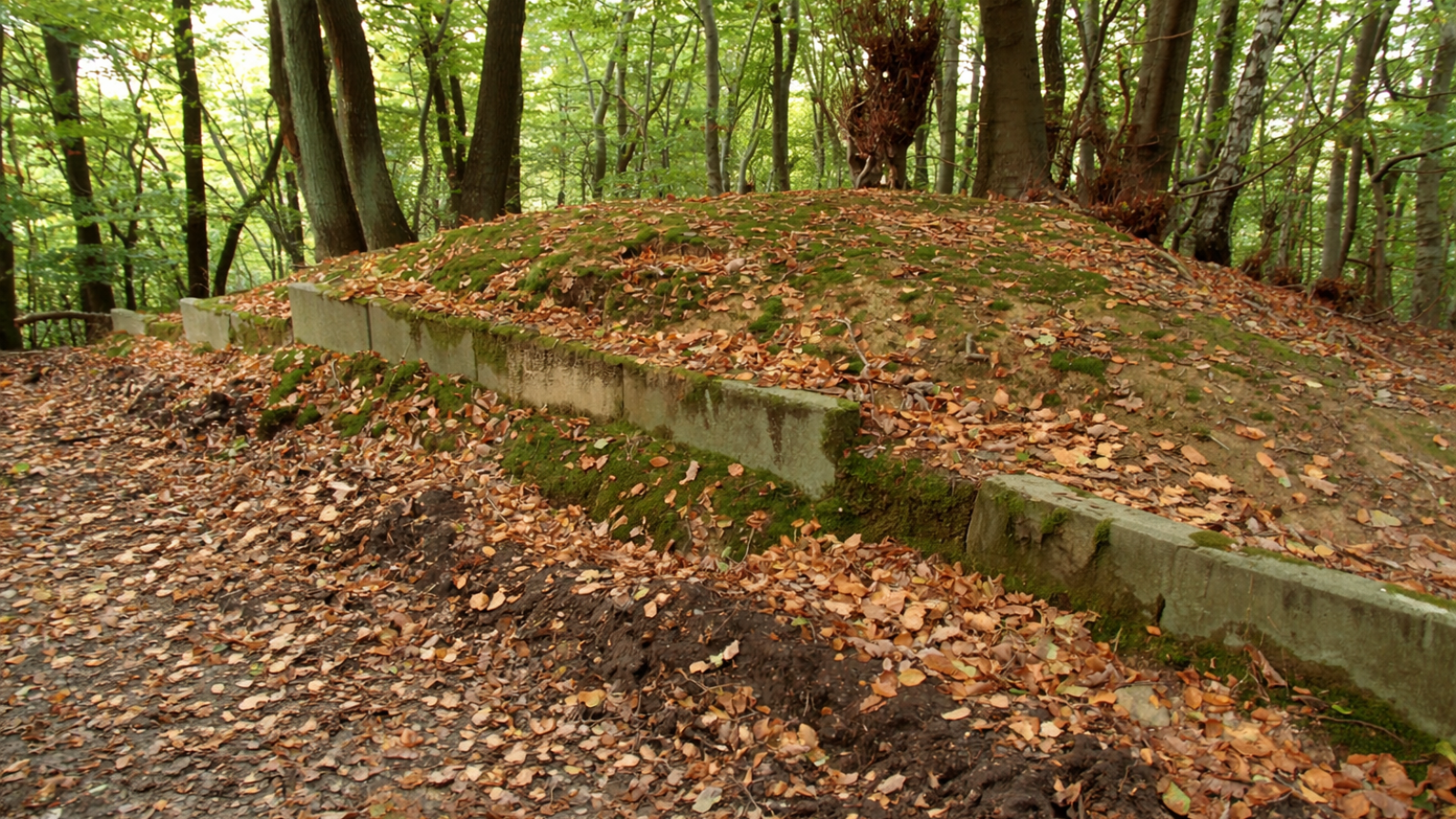 Vorrömische_Wallburganlage