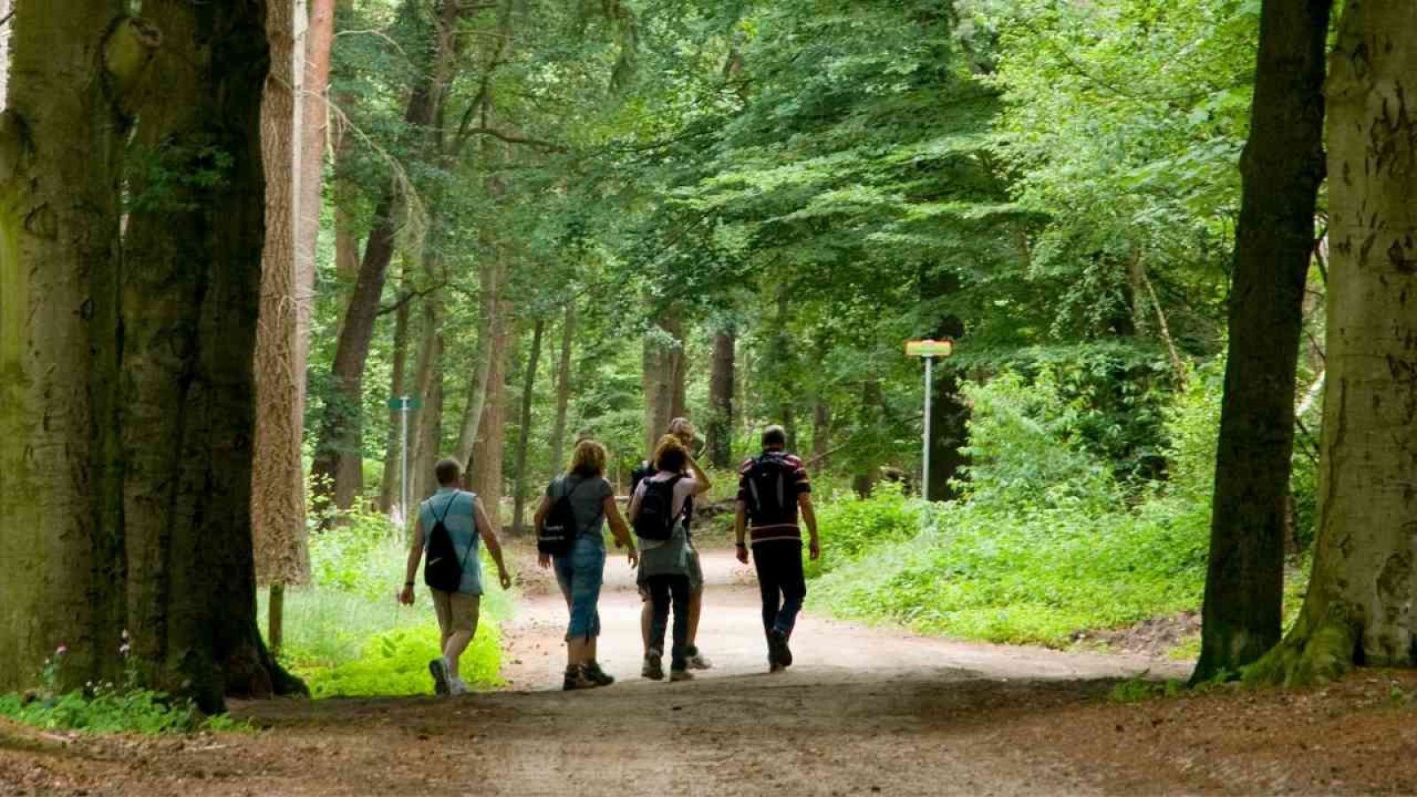 Waldspaziergänge in Bersenbrück