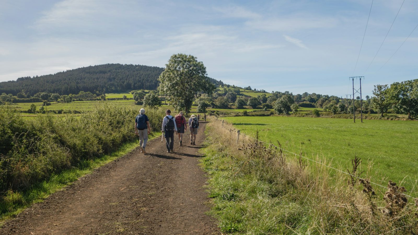 Wanderer auf einem Feldweg durch grüne Landschaft, Symbolbild