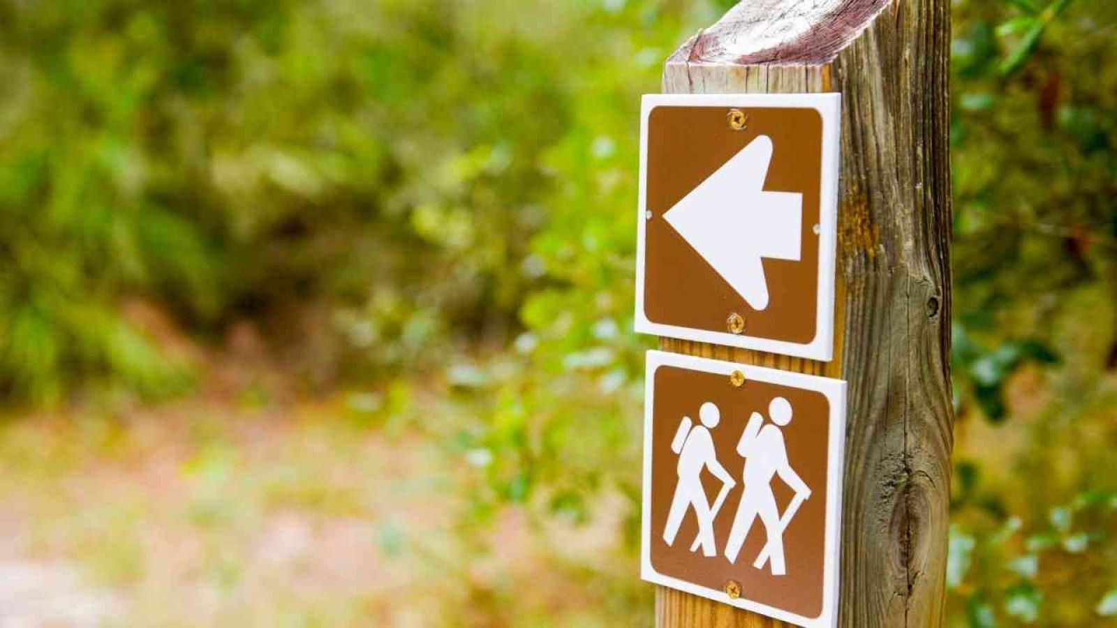 Wanderwege