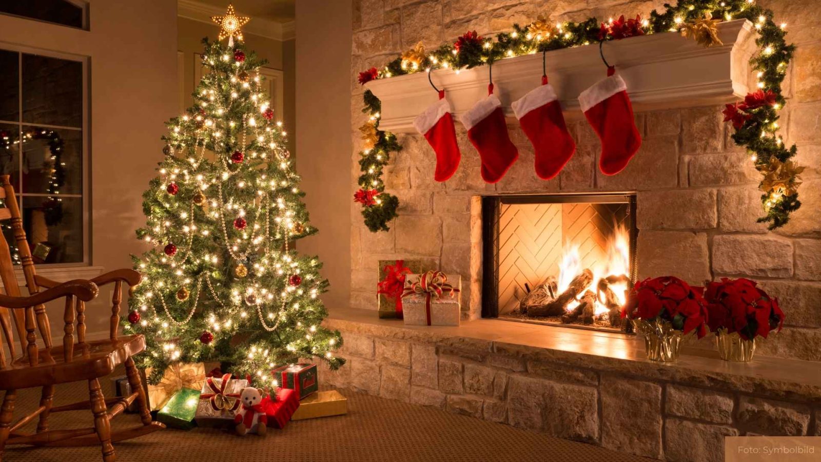 Weihnachtsbäume