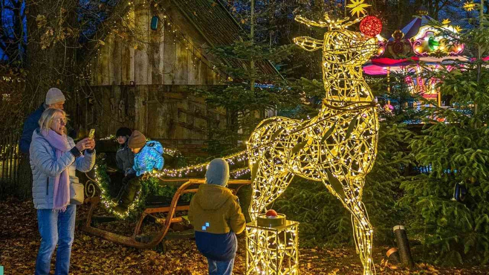 Beleuchtetes Rentier aus Draht mit Weihnachtsdekoration im Tierpark Nordhorn während des Weihnachtsmarktes.