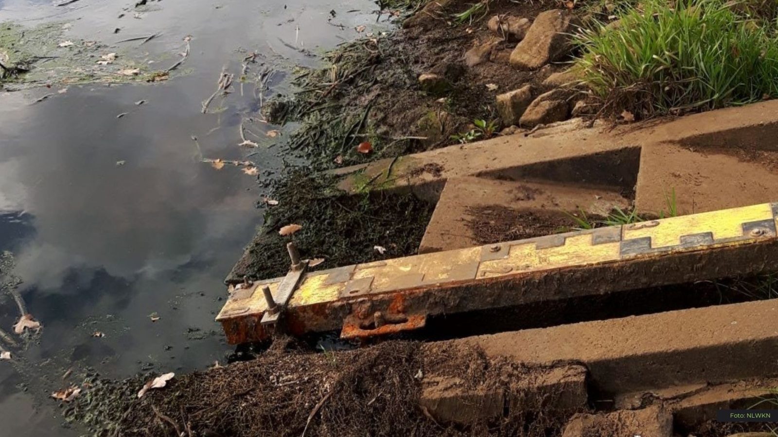 Niedrigwasser aufgrund der Trockenheit im Jahr 2018 am Pegel Bunnen an der Hase