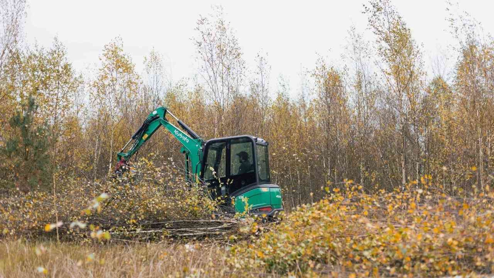 Wiedervernässung im Venner Moor Entkusselungsarbeiten im Venner Moor
