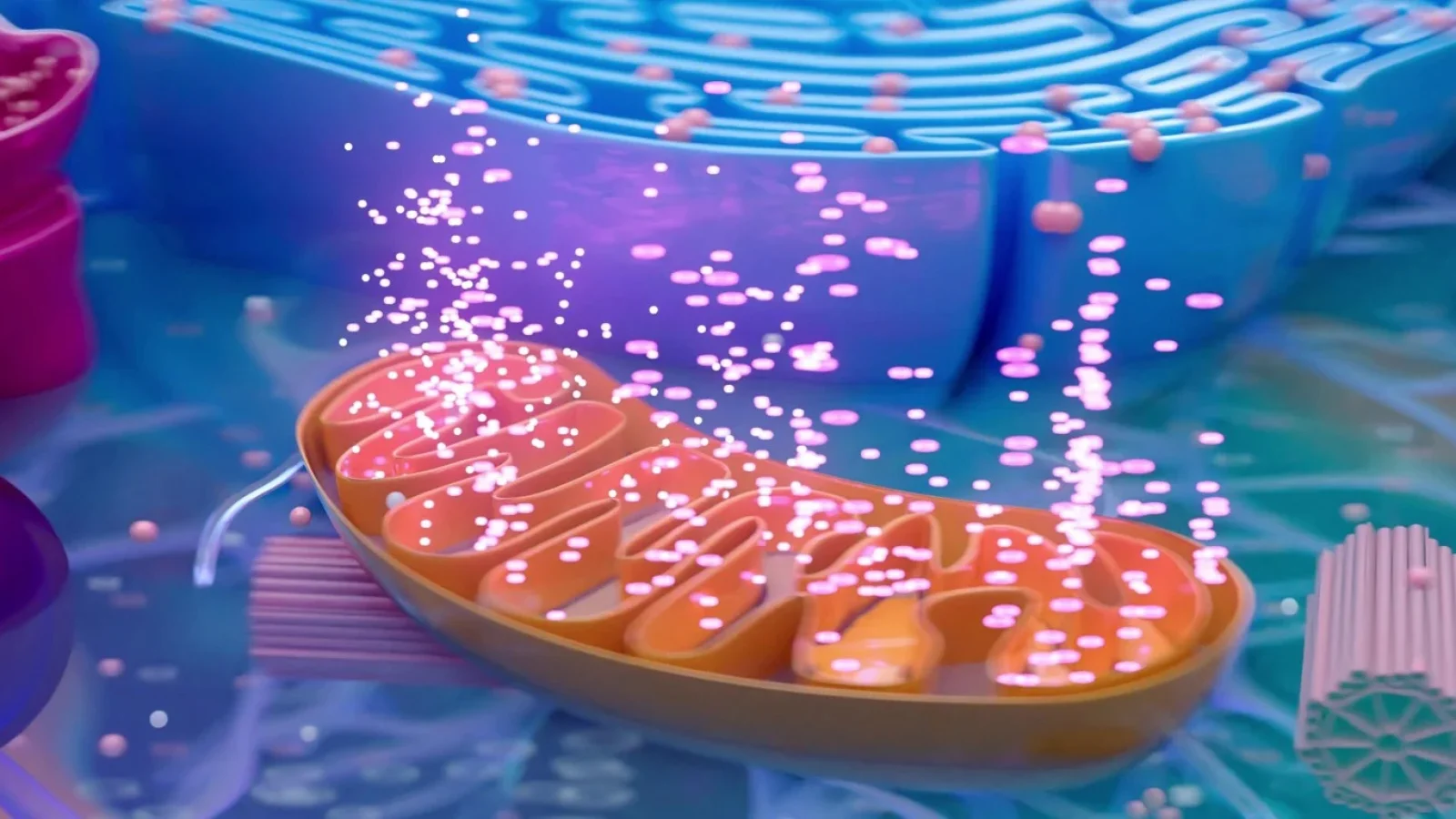 adobestock_1442772535