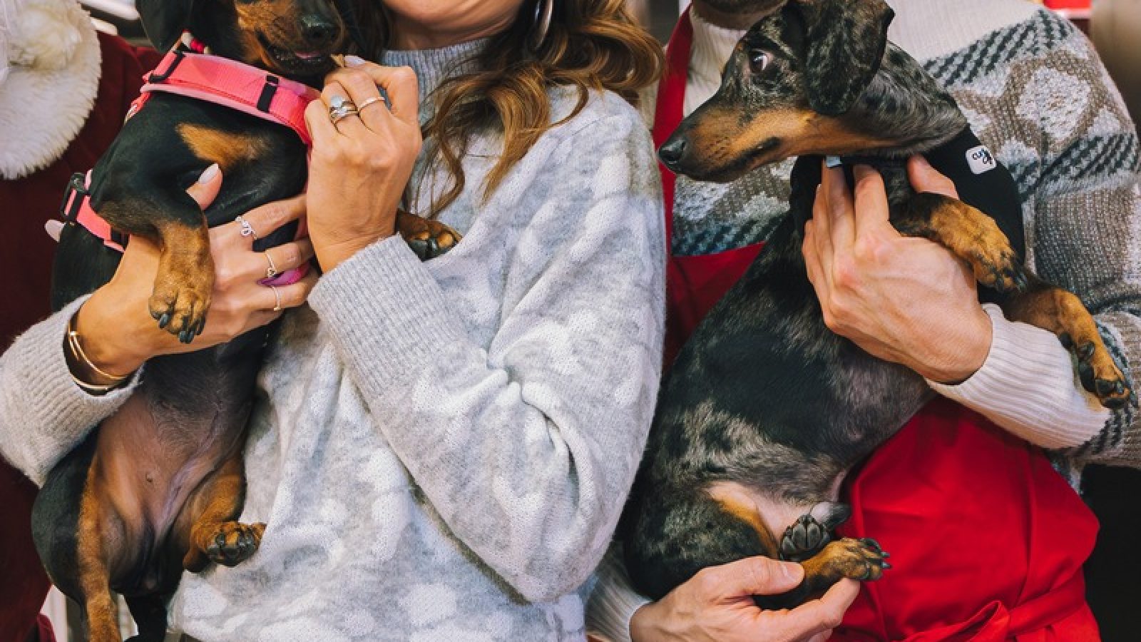 Jana Ina & Stefano Zarrella beim Backen für den guten Zweck / Die Verwendung von Text- und Bildmaterial ist ausschließlich honorarfrei bei Nennung von animonda, www.animonda.de / Weiterer Text über ots und www.presseportal.de/nr/181303 / Die Verwendung dieses Bildes für redaktionelle Zwecke ist unter Beachtung aller mitgeteilten Nutzungsbedingungen zulässig und dann auch honorarfrei. Veröffentlichung ausschließlich mit Bildrechte-Hinweis.