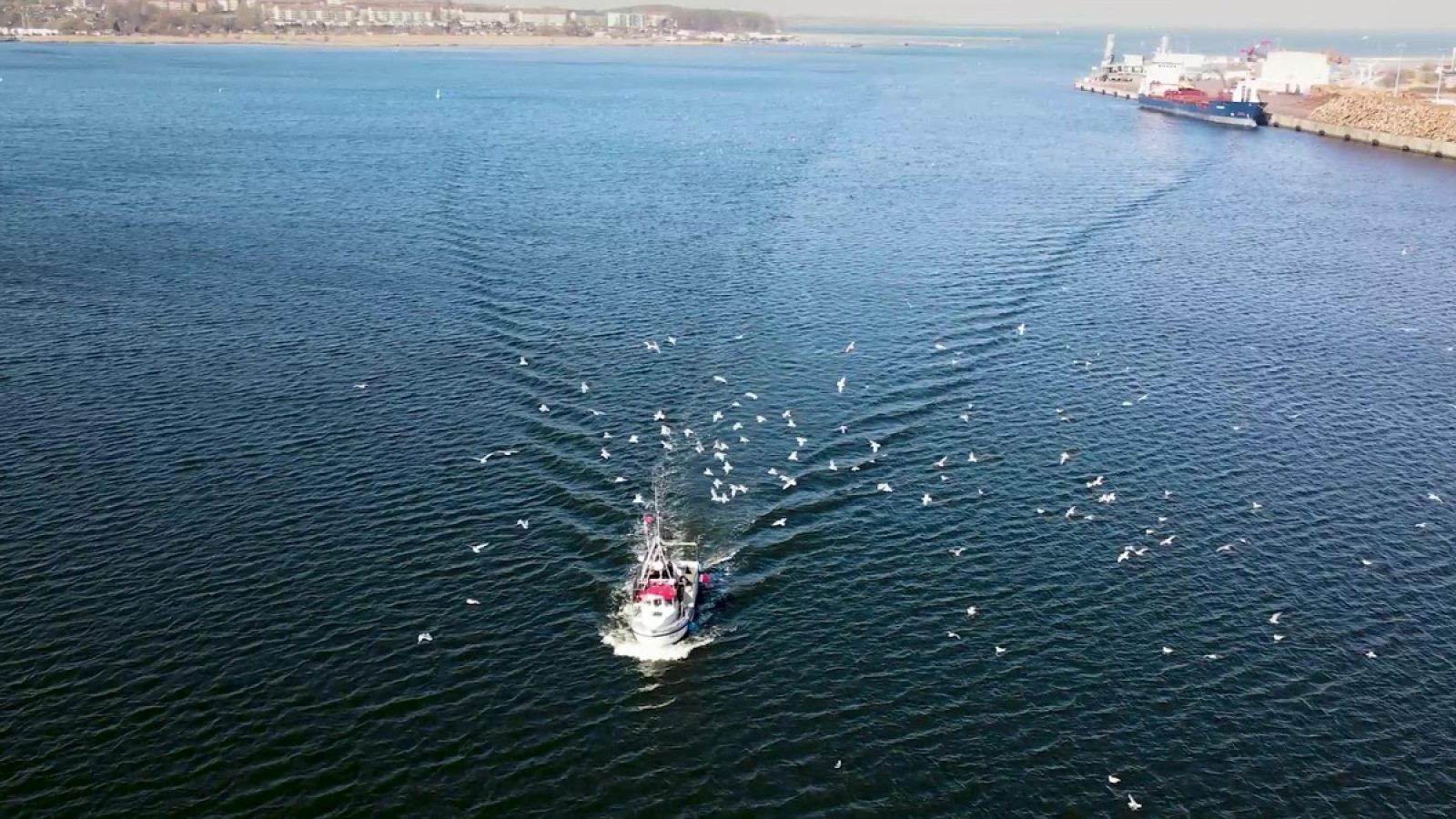 Für Mensch und Meer: Die Fischereigenossenschaft Wismarbucht (Bild) hatte die Idee zur Gründung des Vereins Sea Ranger. Auf deren Erfahrungen fußt nun das internationale Förderprojekt der Deutschen Bundesstiftung Umwelt (DBU) "Baltic Sea Ranger" in Estland, Lettland und Litauen mit dem Ziel, den Fischern als Dienstleister für Wissenschaft und Behörden zusätzliche Einnahmequellen zu verschaffen - und zugleich die Ostsee besser zu schützen. / Weiterer Text über ots und www.presseportal.de/nr/6908 / Die Verwendung dieses Bildes für redaktionelle Zwecke ist unter Beachtung aller mitgeteilten Nutzungsbedingungen zulässig und dann auch honorarfrei. Veröffentlichung ausschließlich mit Bildrechte-Hinweis.