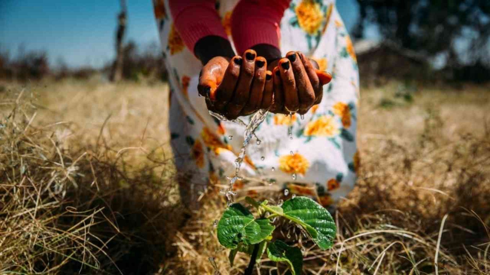 eco-champions-cop30-klimagerechtigkeit