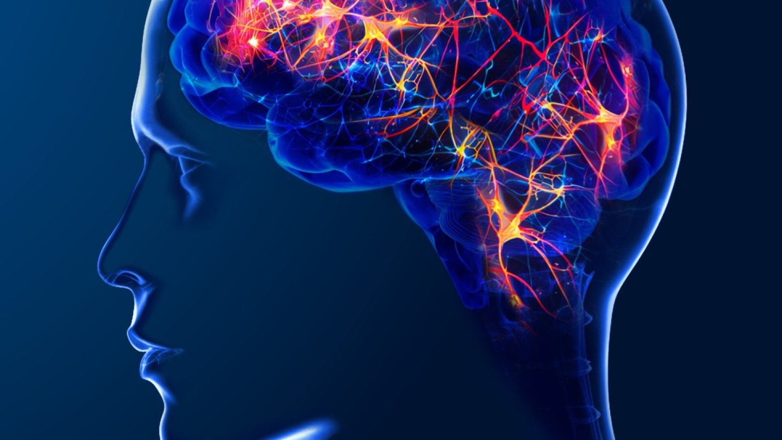 EXOMIND - Das Workout für einen starken Geist / Weiterer Text über ots und www.presseportal.de/nr/181632 / Die Verwendung dieses Bildes für redaktionelle Zwecke ist unter Beachtung aller mitgeteilten Nutzungsbedingungen zulässig und dann auch honorarfrei. Veröffentlichung ausschließlich mit Bildrechte-Hinweis.