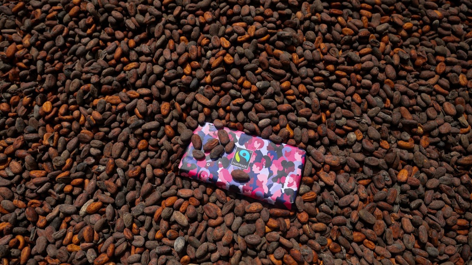 A Fairtrade chocolate bar lies on cocoa beans in Goaso, in the Ahafo Region of Ghana, on October 10, 2024. / Weiterer Text über ots und www.presseportal.de/nr/52482 / Die Verwendung dieses Bildes für redaktionelle Zwecke ist unter Beachtung aller mitgeteilten Nutzungsbedingungen zulässig und dann auch honorarfrei. Veröffentlichung ausschließlich mit Bildrechte-Hinweis.