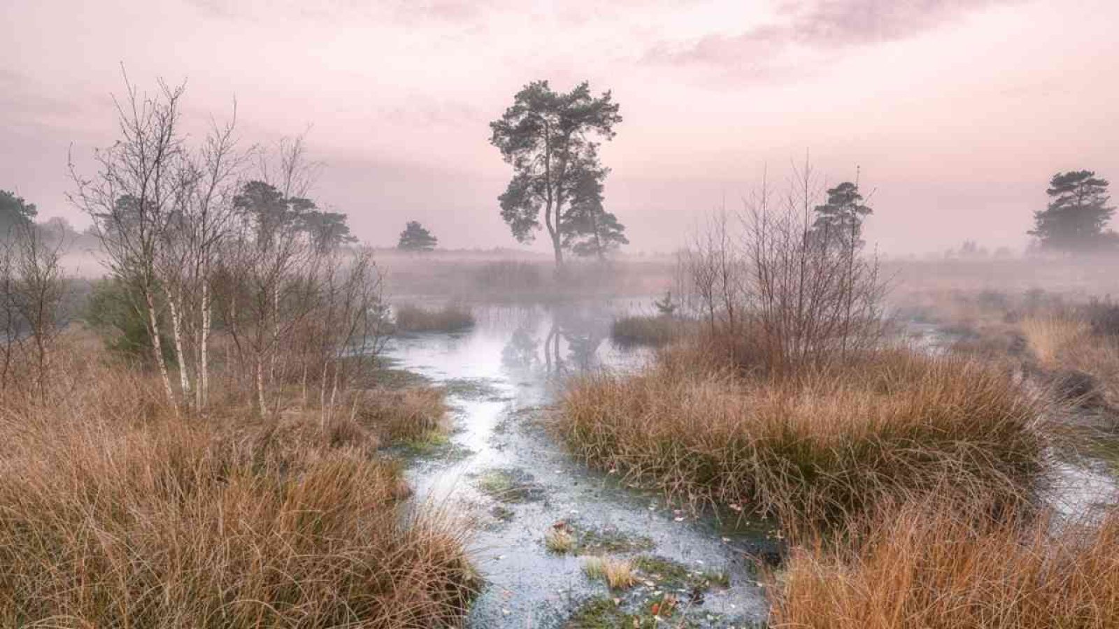 foto-venner-moor-terravita
