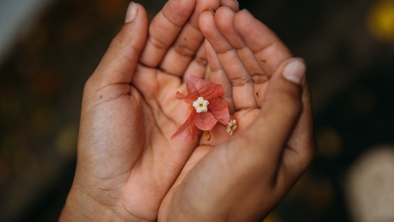 Jedes vierte Mädchen erleidet eine Beschneidung durch medizinisches Personal. Das geben die SOS-Kinderdörfer bekannt. Zum Internationalen Tag gegen weibliche Genitalverstümmelung warnt die Hilfsorganisation vor Rückschritten bei der Bekämpfung des brutalen Rituals aufgrund einer Verlagerung in den medizinischen Kontext. (Bild zur Verwendung nur im Kontext der SOS-Kinderdörfer weltweit) / Weiterer Text über ots und www.presseportal.de/nr/1658 / Die Verwendung dieses Bildes für redaktionelle Zwecke ist unter Beachtung aller mitgeteilten Nutzungsbedingungen zulässig und dann auch honorarfrei. Veröffentlichung ausschließlich mit Bildrechte-Hinweis.