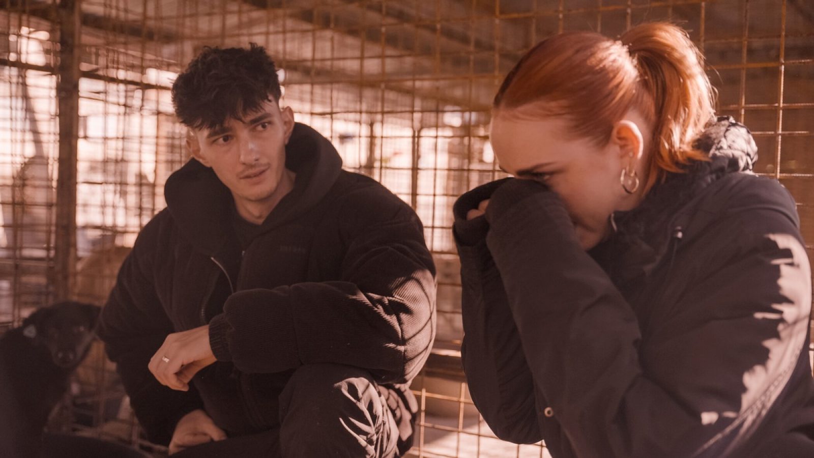 Während der Dreharbeiten für die ProSieben- und Joyn-Dokumentation "Die Hunde-Mafia" (Mi., 15.3., 20:15 Uhr) mit Tierschutz-Creator @Nathan.Goldblat erreichen das Team Video-Beweise, die den Behörden übergeben werden. Sie dokumentieren klare Verstöße gegen den Tierschutz in einer privaten Tiertötungsstation in Rumänien. Mitte Februar wird die Einrichtung durch die Nationale Veterinärbehörde (ANSVSA) geschlossen. Seitdem gibt es in Rumänien Demonstrationen und eine öffentliche Diskussion über die Zukunft des Hundetötungssystems. 

Die Hunde-Mafia;
Folge: 1;
Person: Nathan Goldbalt;
Copyright: Joyn;
Fotograf:   Joyn;
Dateiname: Joyn_P7_HundeMafia_3354040.jpg;
Rechtehinweis: Dieses Bild darf honorarfrei für redaktionelle Zwecke und nur im Rahmen der Programmankündigung verwendet werden. Andere Veröffentlichungen sind nur nach Rücksprache und ausdrücklicher Genehmigung der Seven.One Entertainment Group GmbH möglich. Nicht für EPG! Verwendung nur mit vollständigem Copyrightvermerk. Das Foto darf nicht verändert, bearbeitet und nur im Ganzen verwendet werden. Es darf nicht archiviert werden. Es darf nicht an Dritte weitergeleitet werden. Aneinanderreihung/Zusammenlegung/Kopplung von Bildern zum Zweck der Erstellung von Slide-Shows o.ä. nicht gestattet; Verbindung/Einfügen/Anfügen von Werbung nicht gestattet. Das Bild kann KI generierte Elemente enthalten.
Bei Fragen: foto@seven.one
Voraussetzung für die Verwendung dieser Programmdaten ist die Zustimmung zu den Allgemeinen Geschäftsbedingungen der Presselounges der Sender der Seven.One Entertainment Group GmbH. / Weiterer Text über ots und www.presseportal.de/nr/25171 / Die Verwendung dieses Bildes für redaktionelle Zwecke ist unter Beachtung aller mitgeteilten Nutzungsbedingungen zulässig und dann auch honorarfrei. Veröffentlichung ausschließlich mit Bildrechte-Hinweis.