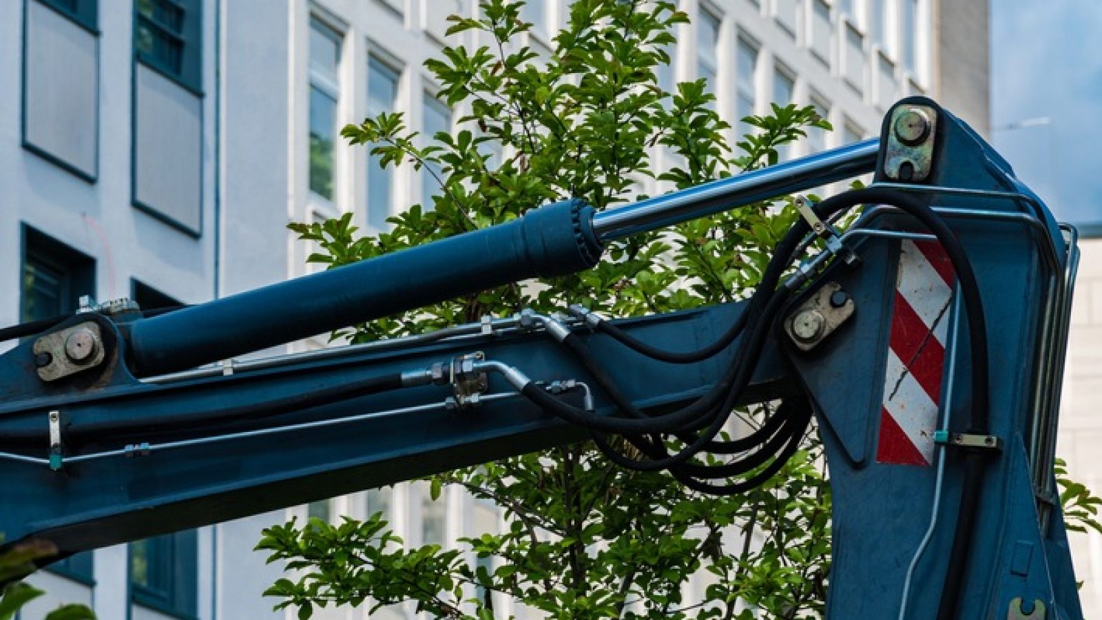 Die Pläne der Landeshauptstadt München, in der Innenstadt rund 150 neue Bäume zu pflanzen, um mehr Schatten und Aufenthaltsqualität an heißen Tagen zu schaffen, sind aus Sicht des Bundes deutscher Baumschulen (BdB) e.V. grundsätzlich richtig und notwendig. Angesichts der veranschlagten Kosten von durchschnittlich rund 95.000 Euro pro Baum ist jedoch eine sachliche Einordnung geboten. / Weiterer Text über ots und www.presseportal.de/nr/126784 / Die Verwendung dieses Bildes für redaktionelle Zwecke ist unter Beachtung aller mitgeteilten Nutzungsbedingungen zulässig und dann auch honorarfrei. Veröffentlichung ausschließlich mit Bildrechte-Hinweis.