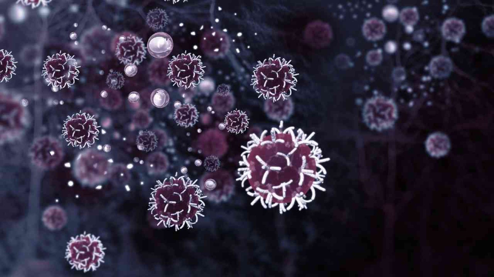 kachexie-krebs-forschung-2025