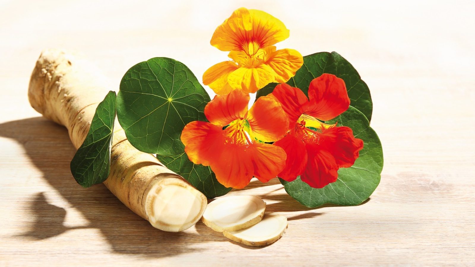 Kapuzinerkresse und Meerrettich / Weiterer Text über ots und www.presseportal.de/nr/7139 / Die Verwendung dieses Bildes für redaktionelle Zwecke ist unter Beachtung aller mitgeteilten Nutzungsbedingungen zulässig und dann auch honorarfrei. Veröffentlichung ausschließlich mit Bildrechte-Hinweis.