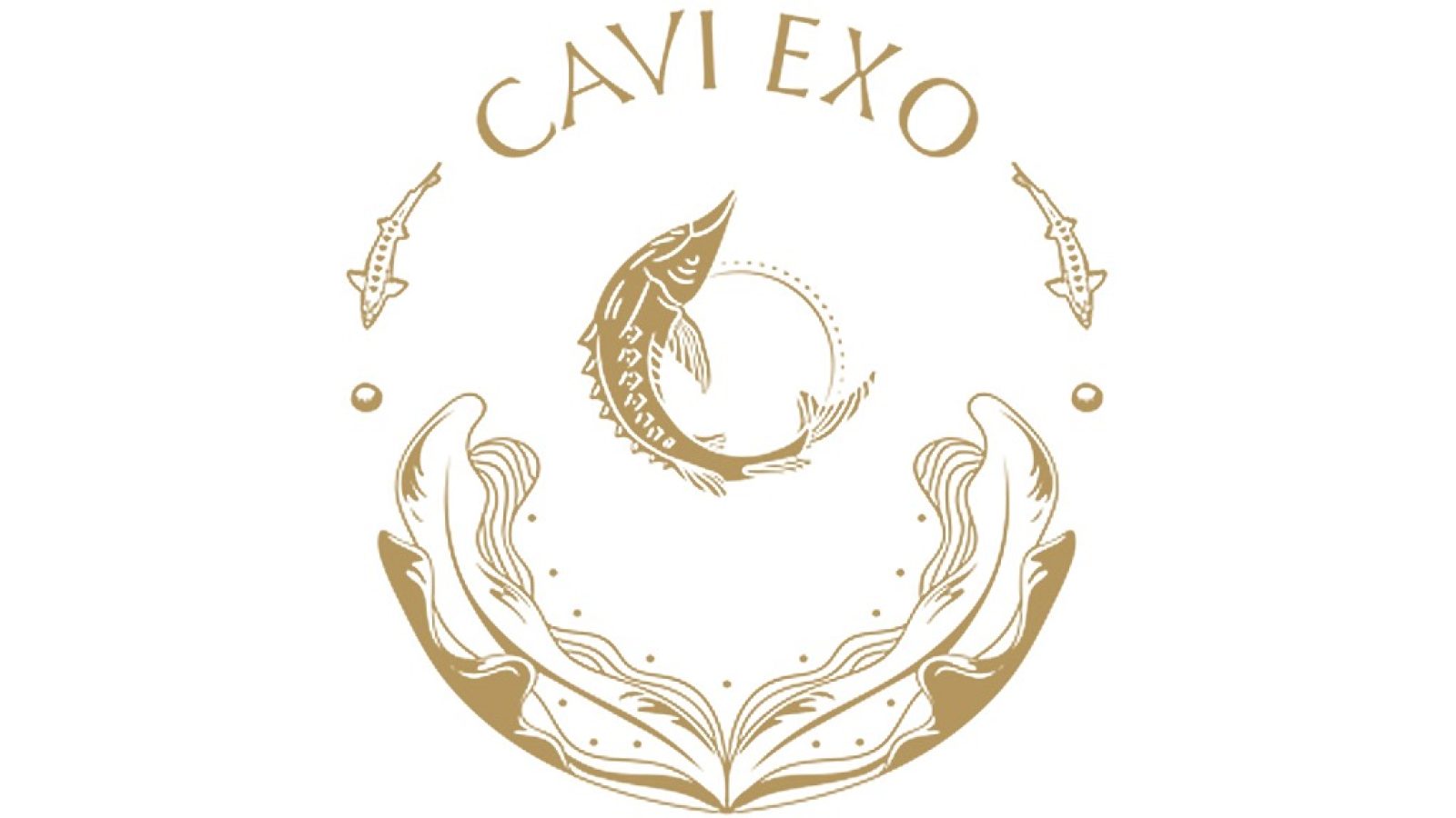 Logo CAVI EXO / Weiterer Text über ots und www.presseportal.de/nr/181909 / Die Verwendung dieses Bildes für redaktionelle Zwecke ist unter Beachtung aller mitgeteilten Nutzungsbedingungen zulässig und dann auch honorarfrei. Veröffentlichung ausschließlich mit Bildrechte-Hinweis.