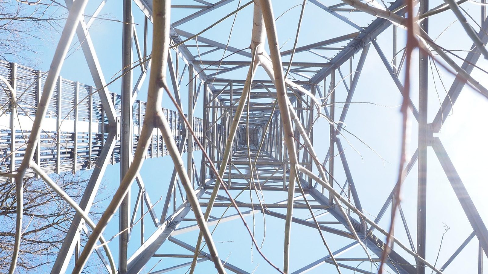 Blick von unten auf einen Metallfunkmast, umgeben von Ästen und klarem Himmel.