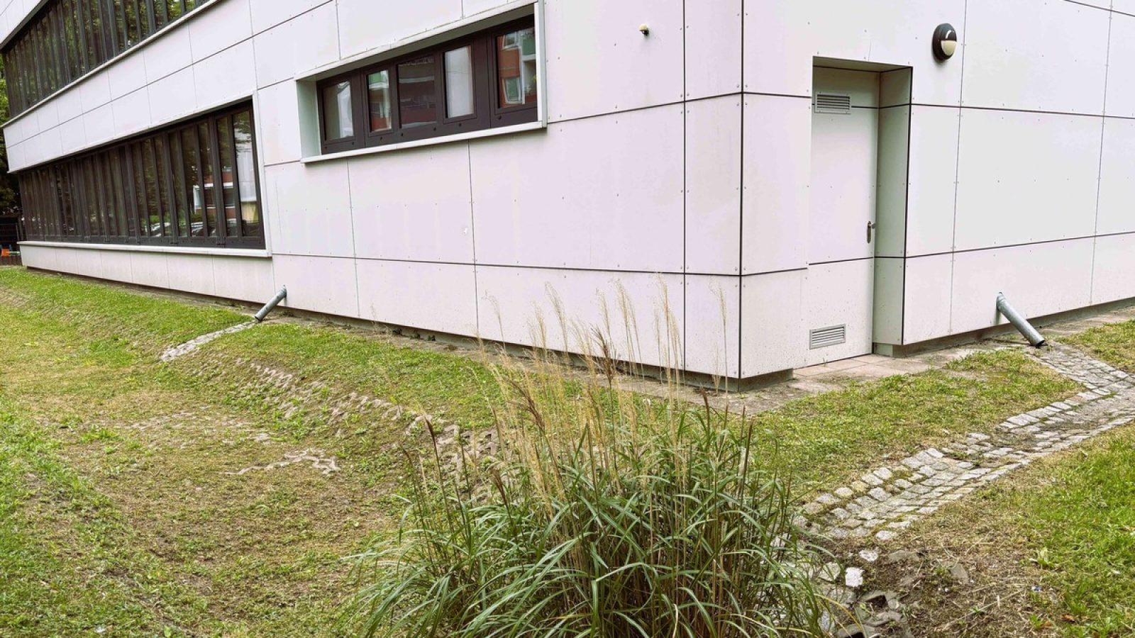 Grasbewachsene Fläche mit einem schmalen Weg und einem Zugang zu einem Gebäude in Berlin.