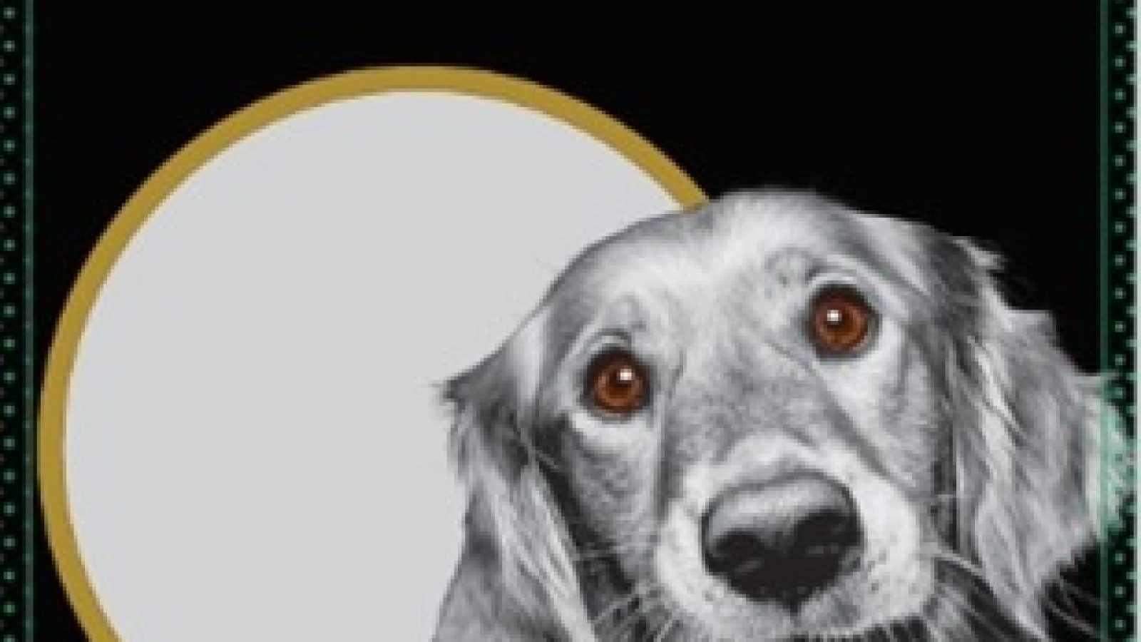 Lucky Dog Premium Hühnerhälse (100g)
Hersteller DOG'S NATURE GmbH / Weiterer Text über ots und www.presseportal.de/nr/181593 / Die Verwendung dieses Bildes für redaktionelle Zwecke ist unter Beachtung aller mitgeteilten Nutzungsbedingungen zulässig und dann auch honorarfrei. Veröffentlichung ausschließlich mit Bildrechte-Hinweis.