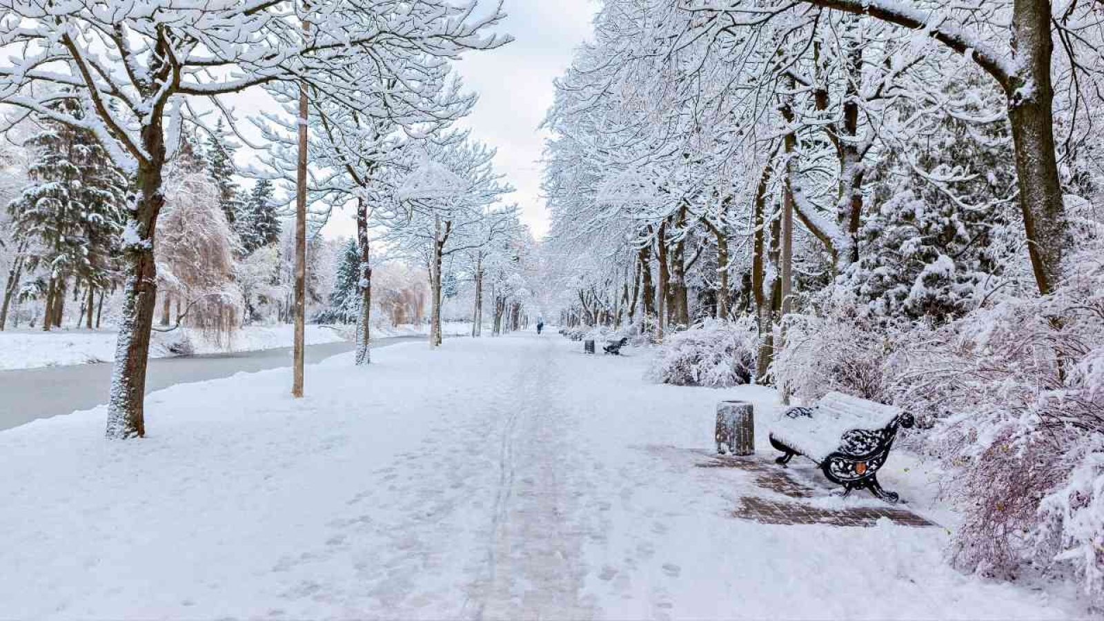 Schneebedeckter Weg mit Bäumen und einer Bank in Niedersachsen während des Winterwetters.