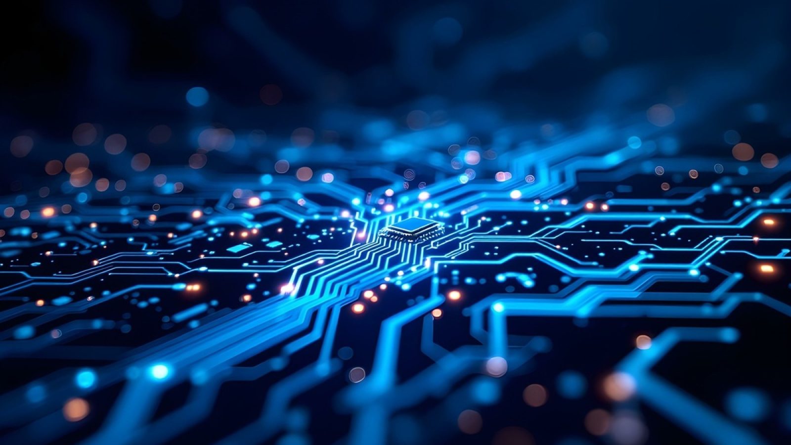 Schwarz Corporate Affairs GmbH & Co. KG / Weiterer Text über ots und www.presseportal.de/nr/129569 / Die Verwendung dieses Bildes für redaktionelle Zwecke ist unter Beachtung aller mitgeteilten Nutzungsbedingungen zulässig und dann auch honorarfrei. Veröffentlichung ausschließlich mit Bildrechte-Hinweis.