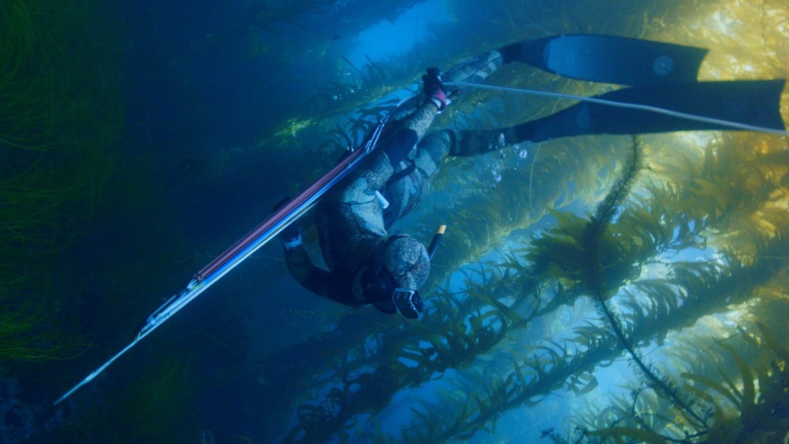 In der Tiefe des Meeres wie ein Fisch: Die Speerfischerin Mitsuki auf der Jagd nach Beute. / Nutzung des Bildes nur in Verbindung mit der Sendung inkl. Social Media. / Weiterer Text über ots und www.presseportal.de/nr/6348 / Die Verwendung dieses Bildes für redaktionelle Zwecke ist unter Beachtung aller mitgeteilten Nutzungsbedingungen zulässig und dann auch honorarfrei. Veröffentlichung ausschließlich mit Bildrechte-Hinweis.