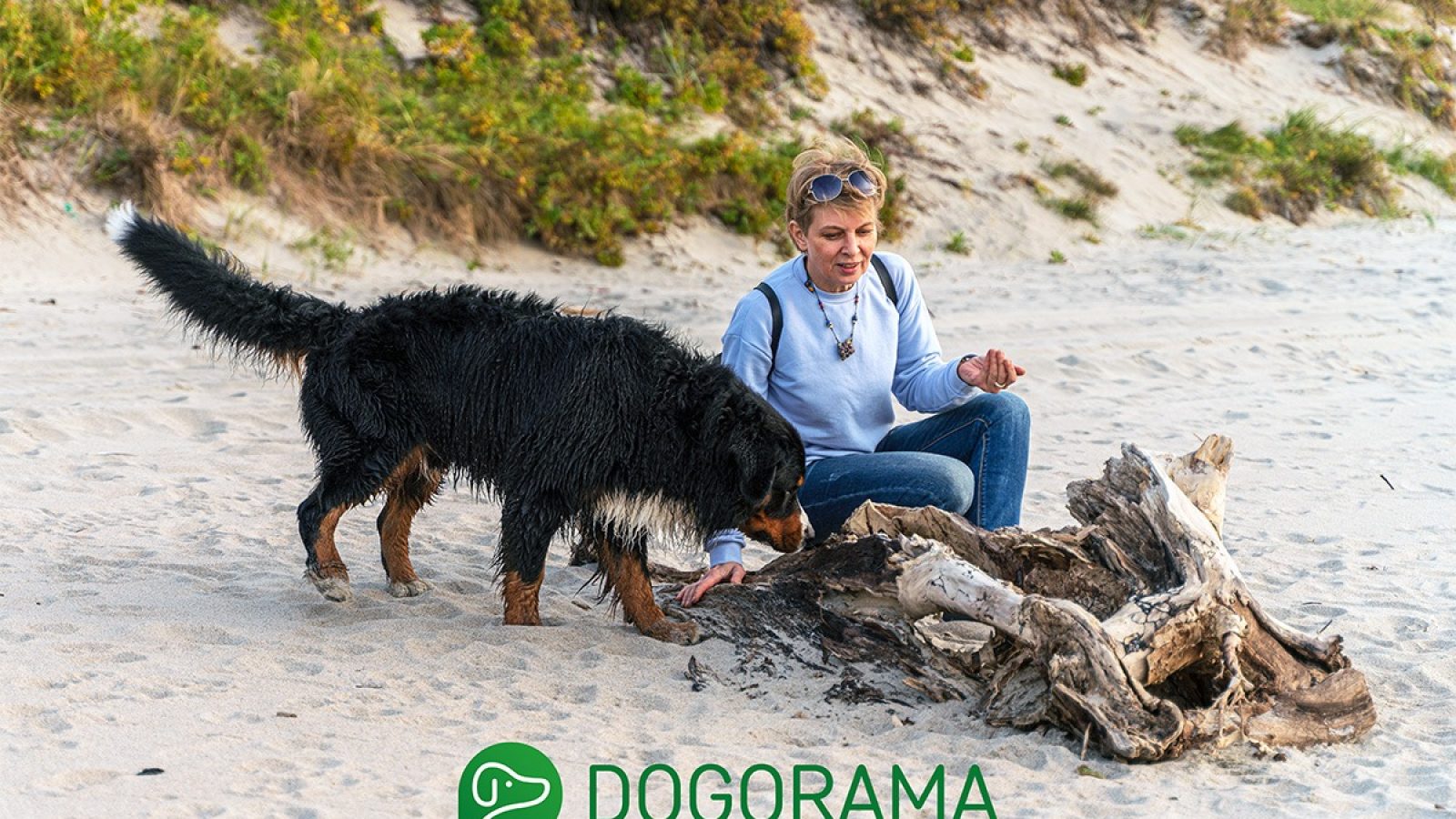 ©Getty Images / Alex Potemkin

Frau an der Ostsee mit Hund. / Weiterer Text über ots und www.presseportal.de/nr/136483 / Die Verwendung dieses Bildes für redaktionelle Zwecke ist unter Beachtung aller mitgeteilten Nutzungsbedingungen zulässig und dann auch honorarfrei. Veröffentlichung ausschließlich mit Bildrechte-Hinweis.