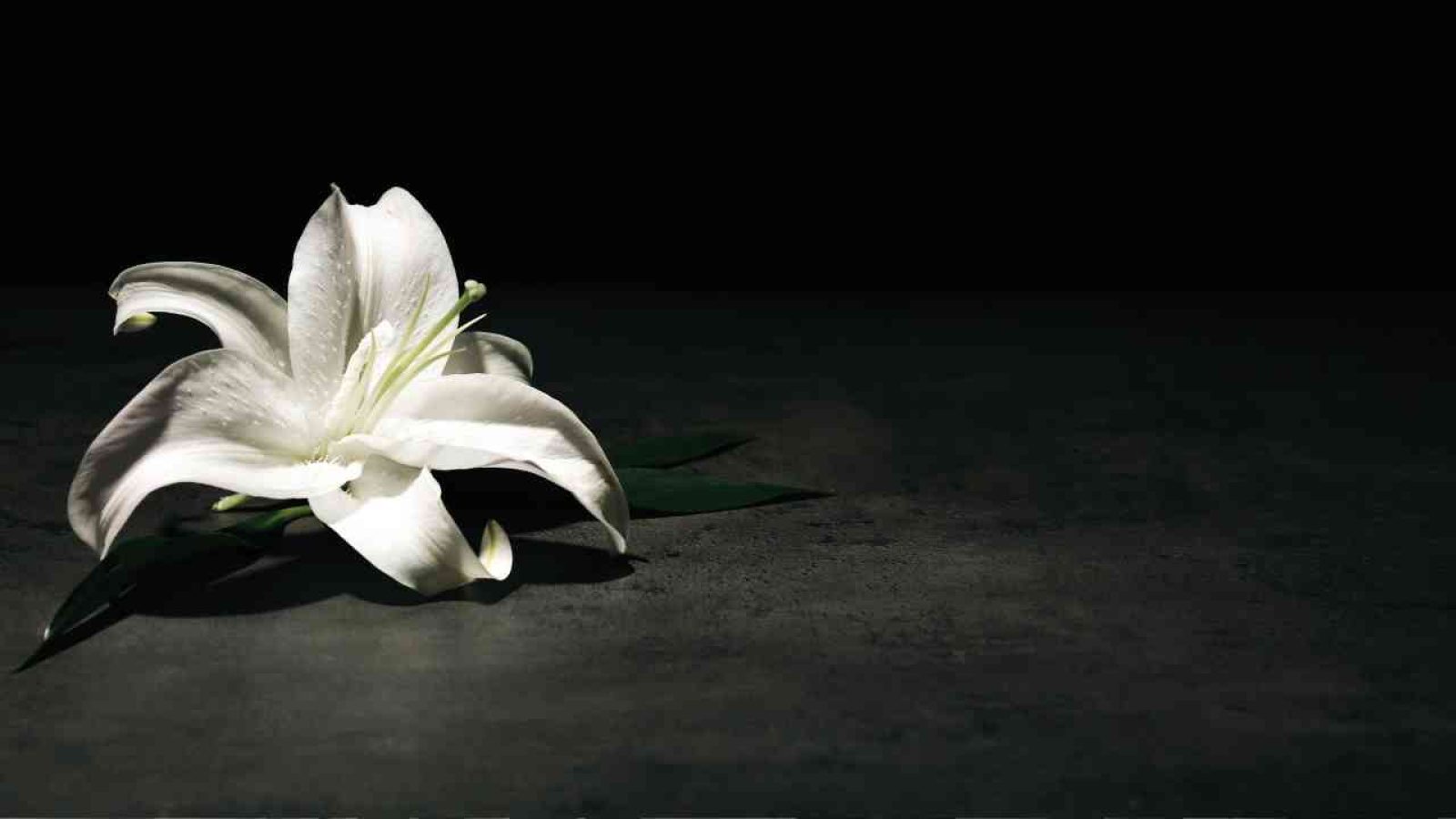 volkstrauertag-nordhorn-2025