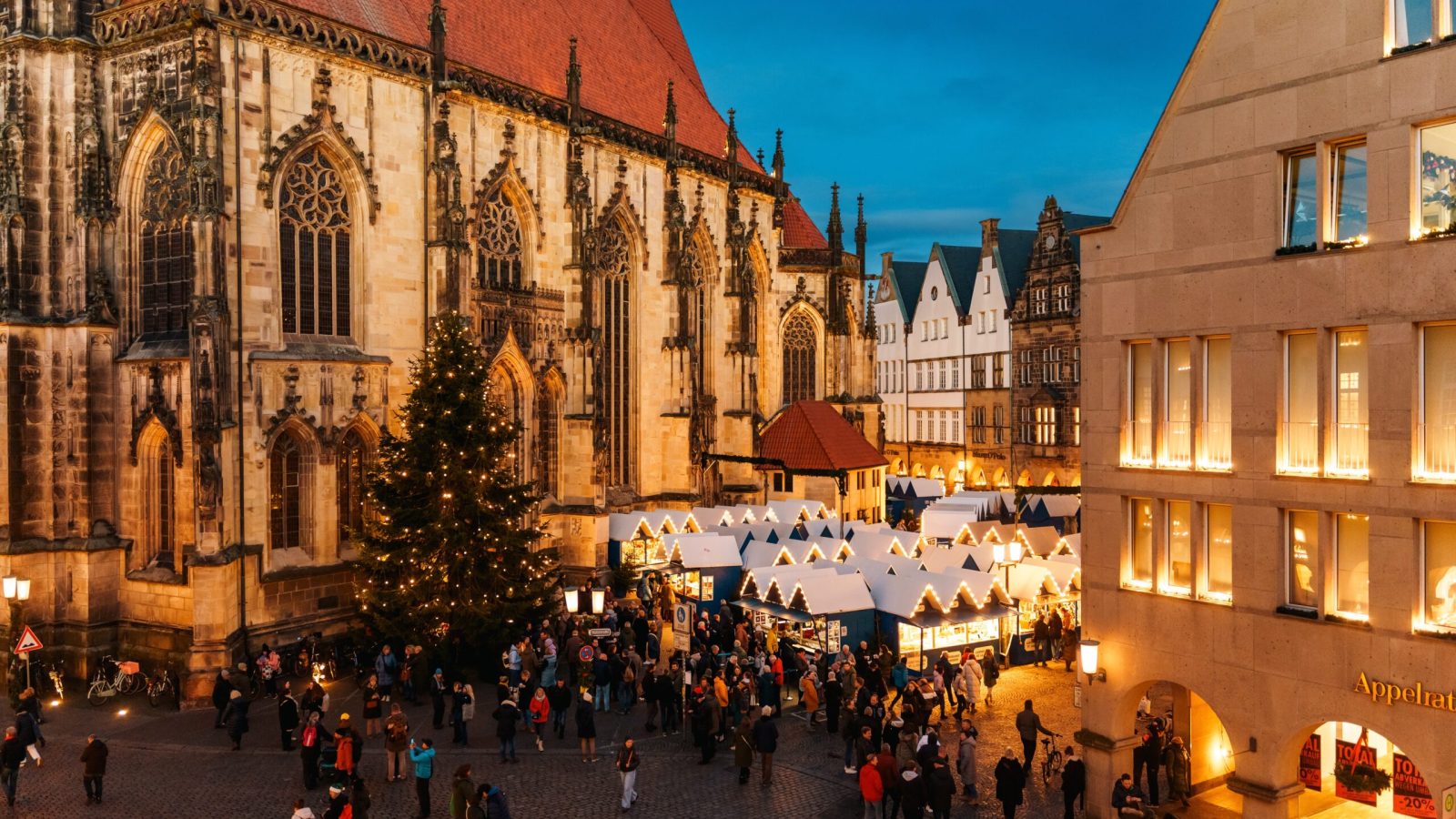 Weihnachtsmarkt in Münster mit festlich beleuchteten Ständen und einer großen Tanne vor der Kirche bei Dämmerung.